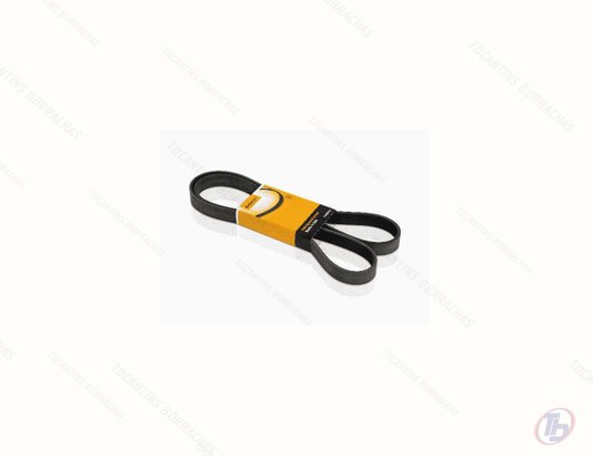 Correia Automotiva Multi V Contitech 4PK735 Continental