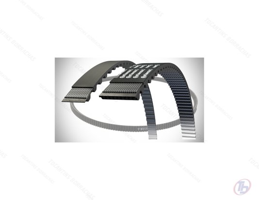 Correia Automotiva Multi V Contitech 6pk1875 Continental