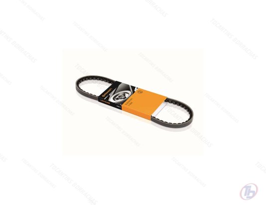 Correia Automotiva Multi V Contitech 6PK2105 Continental
