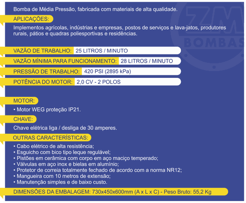 Bomba ZM 25 Litros Completa Mono Motor WEG 220V