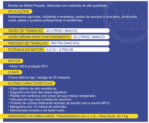 Bomba ZM 30 Litros Completa Mono Motor WEG 220V