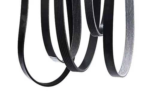 Correia Automotiva Poly V 6pk 0950 Dayco
