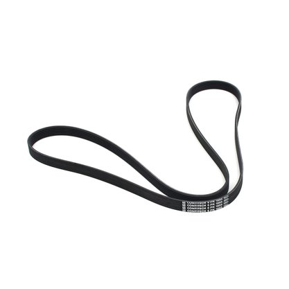 Correia Poly V 5PK 1725 Continental