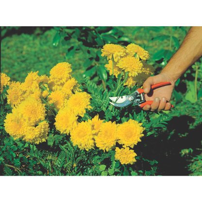 Tesoura de Poda Profissional Tramontina