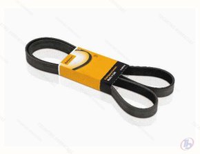 Correia Automotiva Multi V Contitech 4PK775 Continental