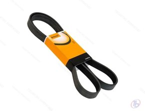 Correia Automotiva  Multi V ContiTech 5PK1005 Continental