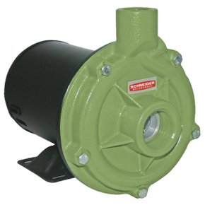 Motobomba Centrifuga BC-92 S R 2 1/2 3Cv 220V Schneider