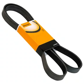 Correia Automotiva Multi 6pk 1885 V Continental