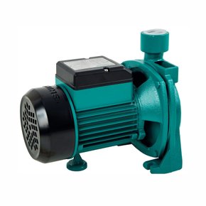 Moto bomba centrifuga CPm75 1Cv 220V Shimge Claw