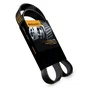 Correia Automotiva Poly V Elite 8pk 1830  Continental