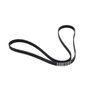 Correia Automotiva Multi V 4pk 0955/0954