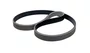 Correia Automotiva Poly V 6pk 0950 Dayco