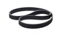 Correia Automotiva Poly V 6pk 0950 Dayco