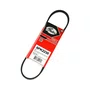 Correia Automotiva Micro V 6pk 2230 Gates