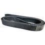 Correia Poly V ELITE 8PK 1645 Continental