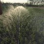 Mangueira Santeno I 100/15 Para Irrigação/Jardim Mt
